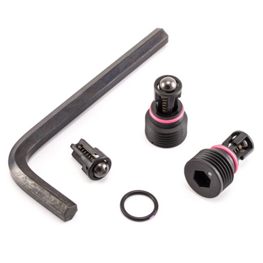 Graco Outlet Valve Kit - 17P183